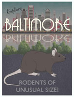 Baltimore poster