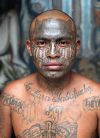 MS13 person