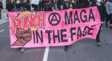 Punch-a-MAGA banner