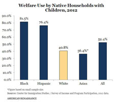 Welfare and race