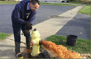 Flint fire hydrant