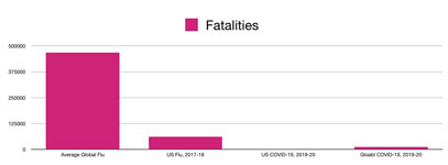 Flu fatalities