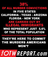 Immigrant murder statistic