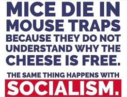 Mice die in traps because they don't understand why cheese is free