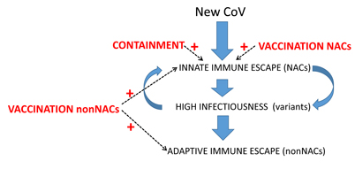Covid-19 vaccines explained