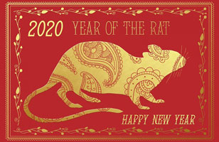 Year of the rat